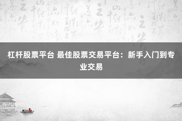 杠杆股票平台 最佳股票交易平台：新手入门到专业交易