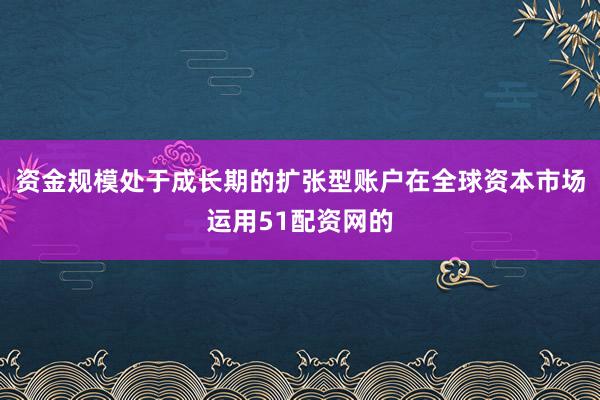 资金规模处于成长期的扩张型账户在全球资本市场运用51配资网的