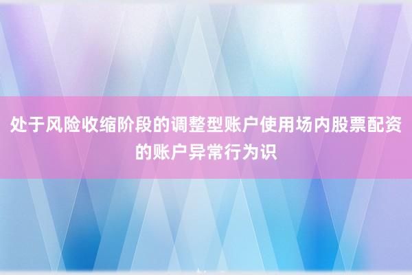 处于风险收缩阶段的调整型账户使用场内股票配资的账户异常行为识