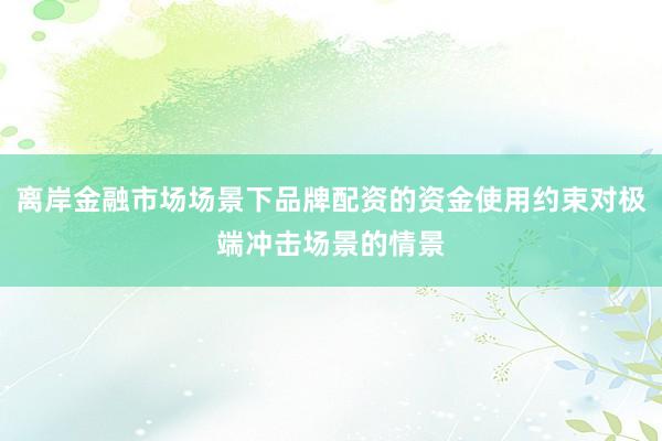 离岸金融市场场景下品牌配资的资金使用约束对极端冲击场景的情景