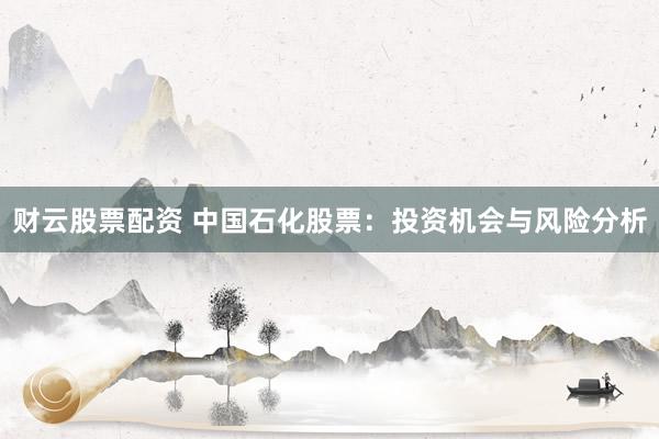 财云股票配资 中国石化股票：投资机会与风险分析