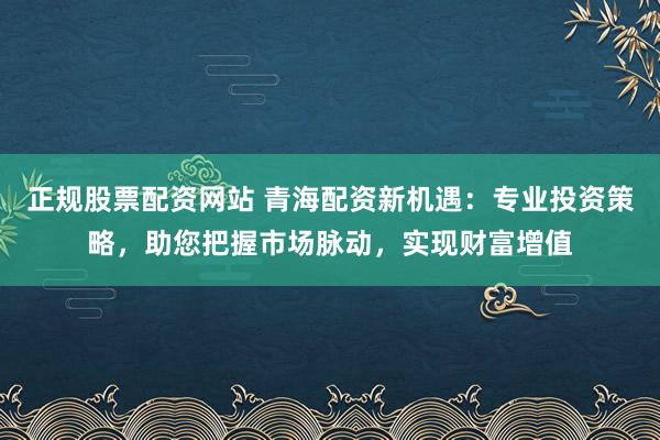 正规股票配资网站 青海配资新机遇：专业投资策略，助您把握市场脉动，实现财富增值
