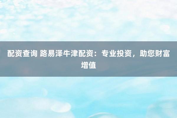 配资查询 路易泽牛津配资：专业投资，助您财富增值