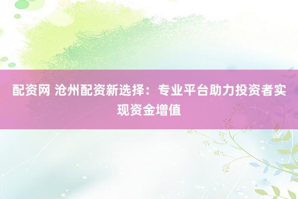 配资网 沧州配资新选择：专业平台助力投资者实现资金增值