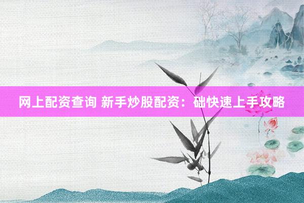 网上配资查询 新手炒股配资：础快速上手攻略