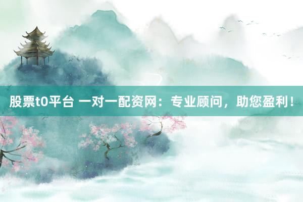 股票t0平台 一对一配资网：专业顾问，助您盈利！