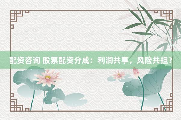 配资咨询 股票配资分成：利润共享，风险共担？